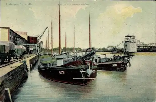 Ak Ludwigshafen am Rhein, Partie am neuen Hafen, Lastkähne