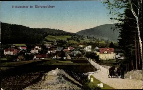Ak Wojków Hohenwiese Kowary Schmiedeberg Riesengebirge Schlesien, Straße zum Ort