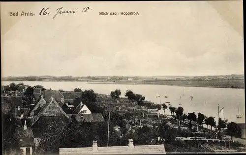 Ak Bad Arnis an der Schlei, Blick nach Kopperby