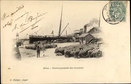 Ak Bone Algerien, Embarquement des moutons