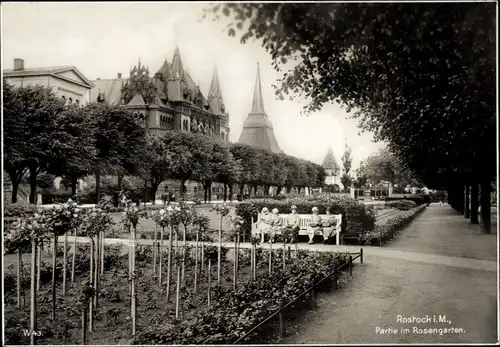 Ak Hansestadt Rostock, Partie im Rosengarten