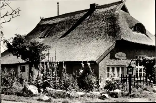 Ak Vitte Insel Hiddensee, Blaue Scheune, Gesamtansicht, Blick auf Reetdachhaus