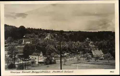 Ak Zwiesel Berggießhübel in Sachsen, Panorama