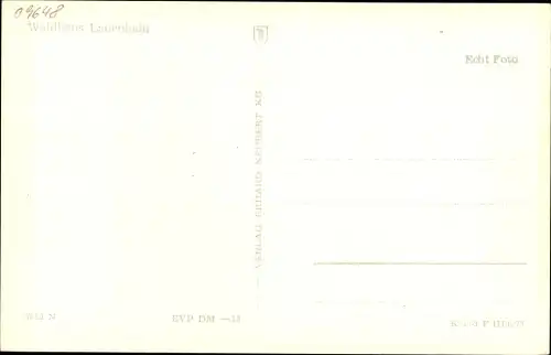 Ak Lauenhain Mittweida in Sachsen, Waldhaus