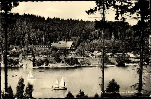 Ak Kriebstein Mittelsachsen, Zschopau Talsperre, Segelboote