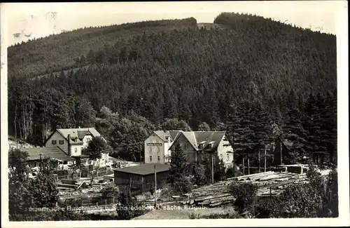 Ak Buschmühle Schmiedeberg Dippoldiswalde im Osterzgebirge, Blick auf den Ort, Sommerfrische