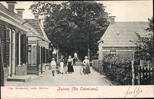 Ak Kollum Kollumerland en Nieuwkruisland Friesland Niederlande, De Eskeslaan