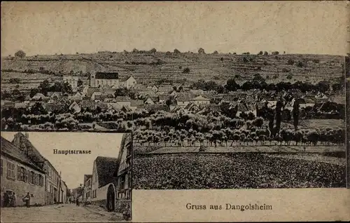 Ak Dangolsheim Elsass Bas Rhin, Gesamtansicht, Hauptstraße