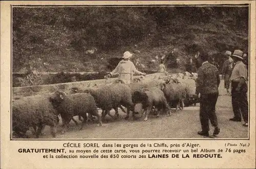 Ak Alger Algier Algerien, Cecile Sorel dans les gorges de la Chiffa