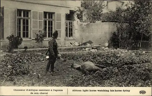 Ak Chasseur d'Afrique assistant a l'agonie de son cheval, I WK