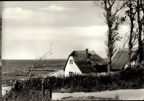 Ak Ostseebad Ahrenshoop Fischland, Rohrdachhaus am Steilufer