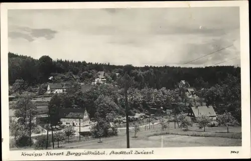 Ak Zwiesel Berggießhübel in Sachsen, Panorama