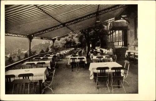 Ak Heidelberg am Neckar, Restaurant Molkenkur