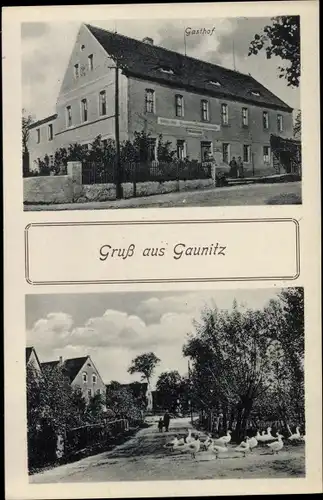 Ak Gaunitz Liebschützberg Sachsen, Gasthof von Friedrich Hoffmann, Straßenpartie, Gänse