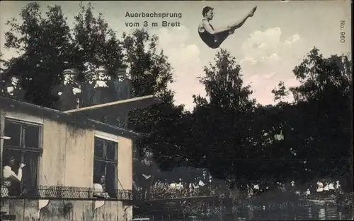 Ak Auerbachsprung vom 3m Brett, Turmspringer, Kunstspringer