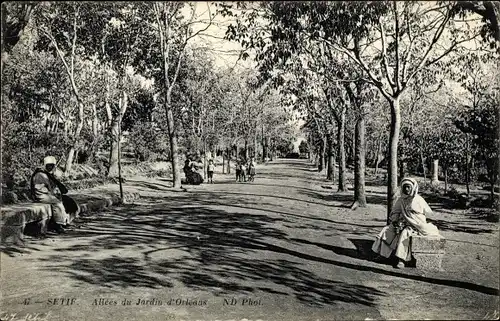 Ak Setif Algerien, Allee du Jardin d'Orleans