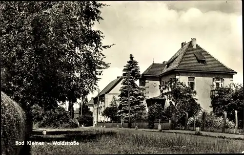 Ak Bad Kleinen in Mecklenburg Vorpommern, Waldstraße