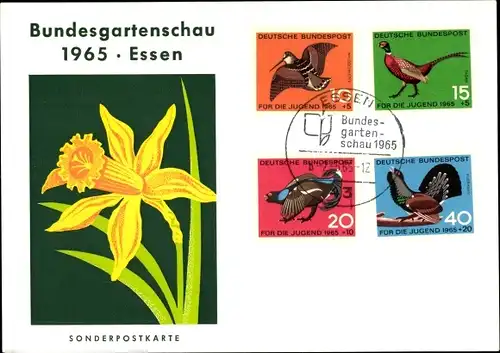 Briefmarken Ak Essen im Ruhrgebiet Nordrhein Westfalen, Bundesgartenschau 1965, Narzisse