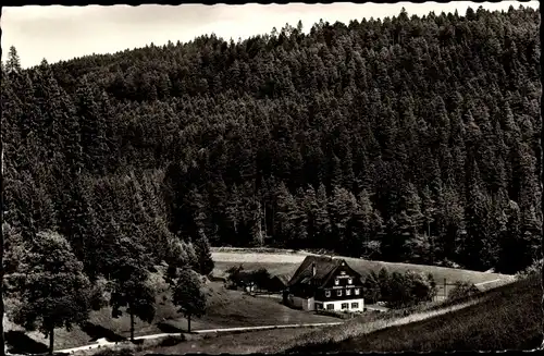 Ak Altensteig im Schwarzwald Württemberg, Pension Kropfmühle