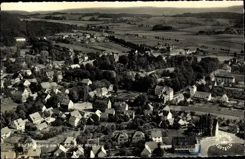 Ak Bad Meinberg am Teutoburger Wald, Luftbild