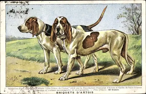Künstler Ak Briquets d'Artois, zwei Hunde, Manufacture Francaise d'Armes et Cycles de Saint Etienne