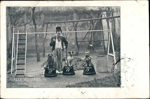 Ak Alex Williams, urkomischer Dressur Akt, Clown, Hundedressur