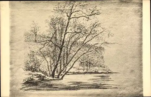 Künstler Ak Goethe, Handzeichnung, Baumstudie