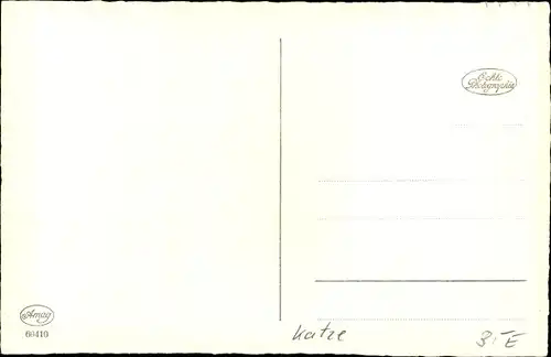 Ak Drei Katzen, Katzen-Geschwister