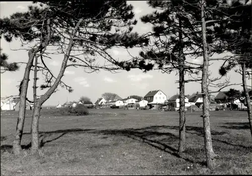 Ak Neuendorf auf der Insel Hiddensee, Siedlung, Häuser, Bäume