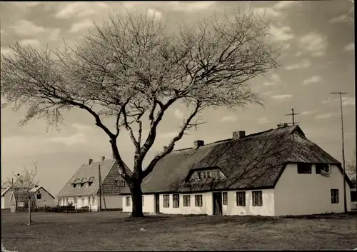 Ak Neuendorf auf der Insel Hiddensee, Reetdachhaus, Ortspartie