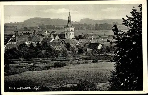 Ak Horn Bad Meinberg in Lippe Teutoburger Wald, Teilansicht