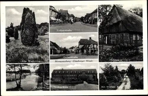 Ak Hermannsburg Südheide in der Lüneburger Heide, Cellerstraße, Museum, Volksschule, Wacholder
