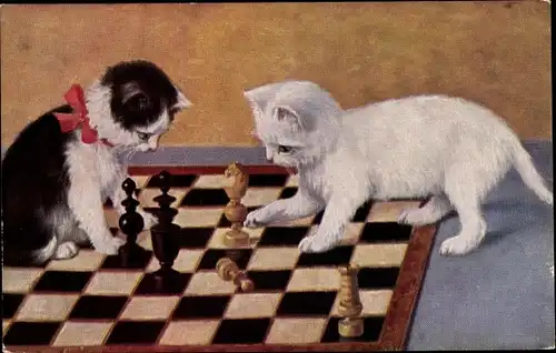 Künstler Ak Zwei junge Katzen auf einem Schachbrett