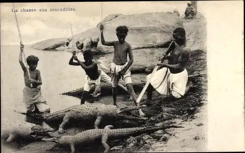Ak Ägypten, La chasse aux crocodiles, Krokodiljagd