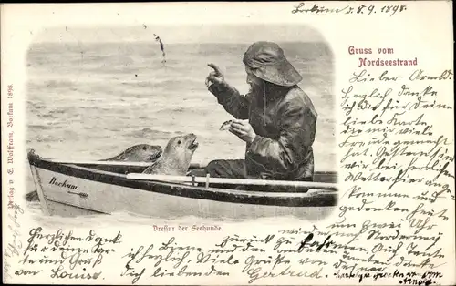 Ak Dressur der Seehunde, Gruß vom Nordseestrand, Ruderboot Borkum