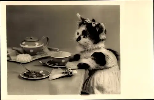 Ak Katze in Pullover sitzt am Tisch, Tassen, Teller, Kuchen