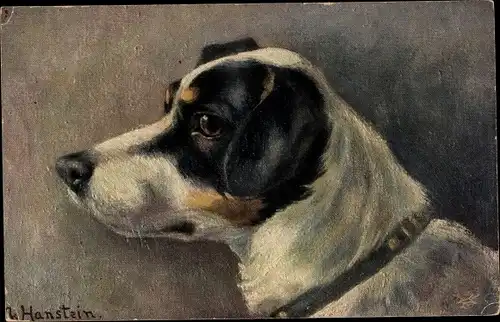 Künstler Ak Hanstein, Hund-Portrait