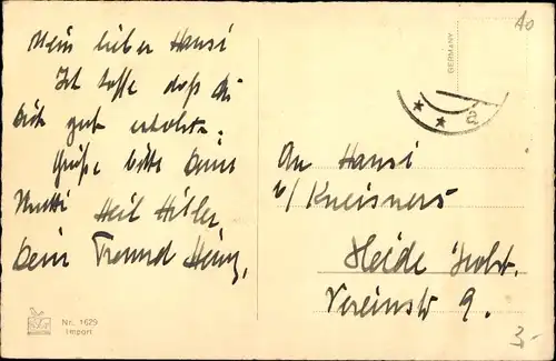 Ak Hund-Portrait, Tier-Portrait