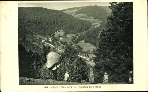 Ak Lothringen Vosges, Scenes Vosgiennes, Moisson du Regain