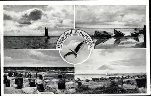 Ak Ostseebad Scharbeutz in Ostholstein, Partie am Strand, Blick auf die See, Strandkörbe, Möwe