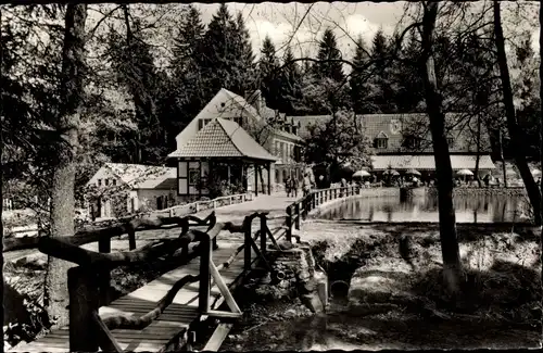 Ak Leopoldstal Horn Bad Meinberg in Lippe Teutoburger Wald, Waldrestaurant und Pension Silbermühle