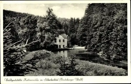 Ak Silberbachtal Horn Bad Meinberg, Waldgaststätte Kaltenmühle