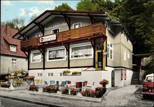 Ak Bad Lauterberg im Harz, Café-Pension Schweizerhaus