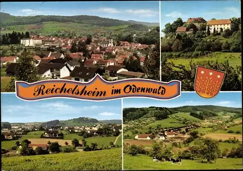 Ak Reichelsheim im Odenwald, Gesamtansicht, Teilansicht