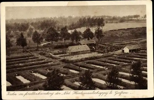 Ak Gulpen Limburg Niederlande, Forellenzucht der Ned. Heidemaatschappy