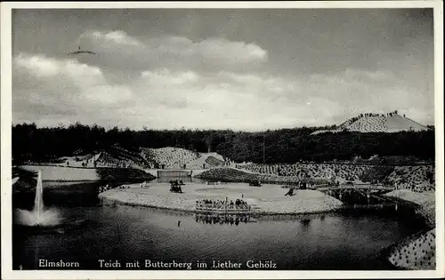 Ak Elmshorn Schleswig Holstein, Teich mit Butterberg im Liether Gehölz