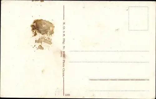 Ak Elmshorn in Holstein, Stadtansicht