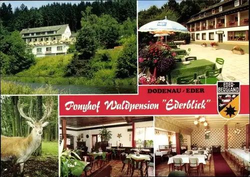 Ak Dodenau Battenberg an der Eder Hessen, Ponyhof Waldpension Ederblick, Hirsch, Wappen