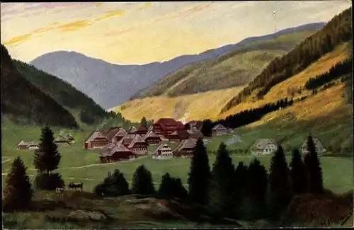 Künstler Ak Hoffmann, H., Menzenschwand Sankt Blasien im Schwarzwald, Gesamtansicht