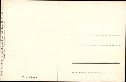 Künstler Ak Hoffmann, H., Menzenschwand Sankt Blasien im Schwarzwald, Gesamtansicht